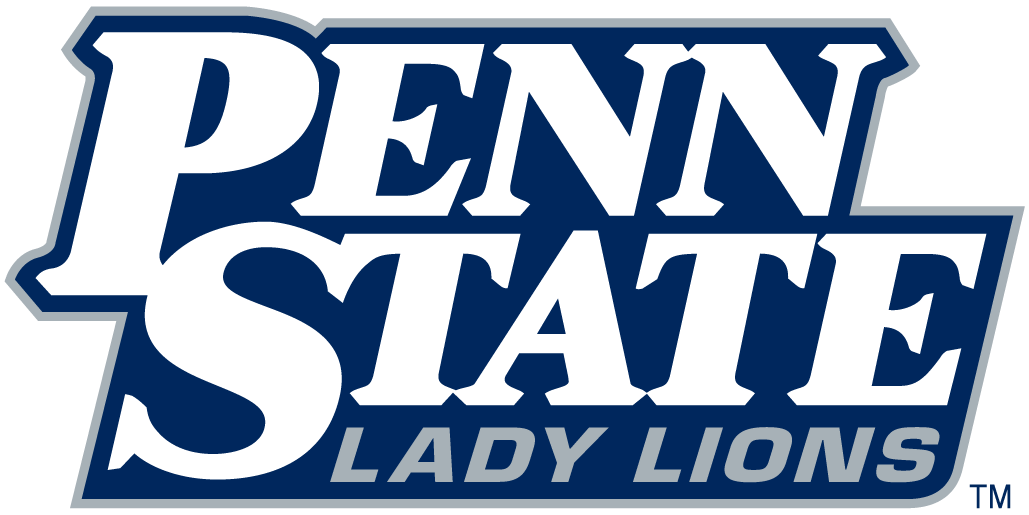 Penn State Nittany Lions 2001-2004 Wordmark Logo v2 diy fabric transfer